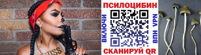 mega как войти  Жуков  Псилоцибиновые грибы мухоморы  где продают  